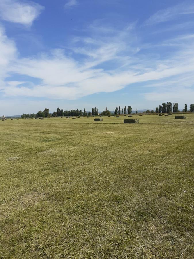 Petite Maison Dans La Campagne A 10 Mn A Pied Du Centre Ville Арль Экстерьер фото